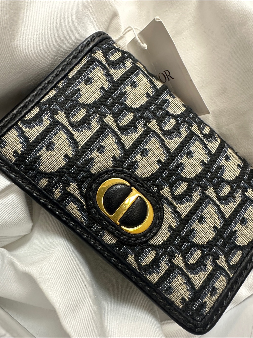 Dior 30 Montaigne Nano Pouch Blue Oblique Jacquard NEW